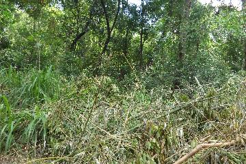 Sorocaba Caputera Terreno Venda R$490.000,00  Area do terreno 20000.00m2 