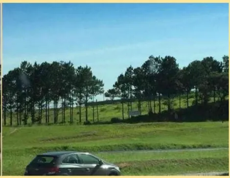Sorocaba Zona Industrial Terreno Locacao R$ 9.500,00  Area do terreno 10900.00m2 