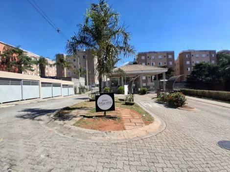 Sorocaba Jardim Vera Cruz Apartamento Locacao R$ 1.600,00 Condominio R$330,00 2 Dormitorios 1 Vaga 