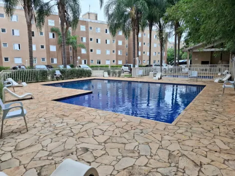Sorocaba Jardim Vera Cruz Apartamento Locacao R$ 1.630,00 Condominio R$349,00 2 Dormitorios 2 Vagas 