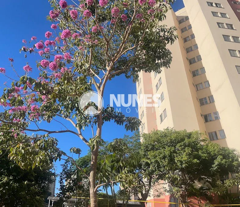 Alugar Apartamento / Padr&atilde;o em Osasco R$ 2.460,00 - Foto 1