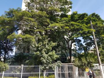 Osasco Centro Apartamento Locacao R$ 3.400,00 Condominio R$663,45 2 Dormitorios 1 Vaga 