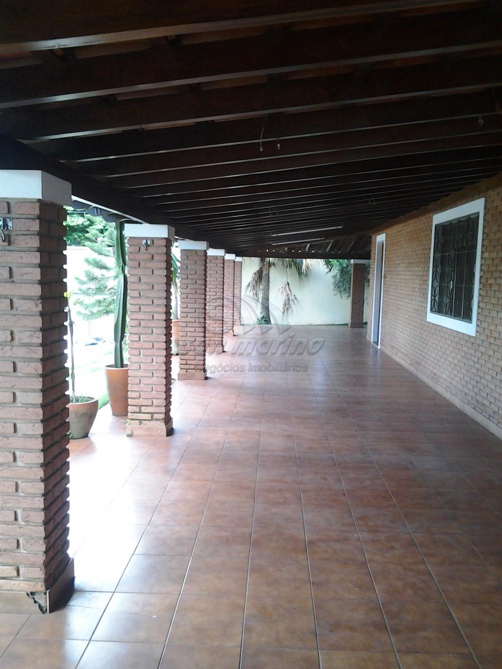 Apartamentos / Padrão em Jardinópolis - foto 6