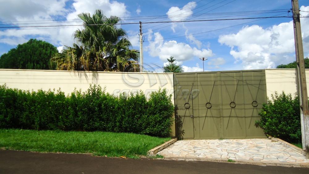 Apartamentos / Padrão em Jardinópolis - foto 0