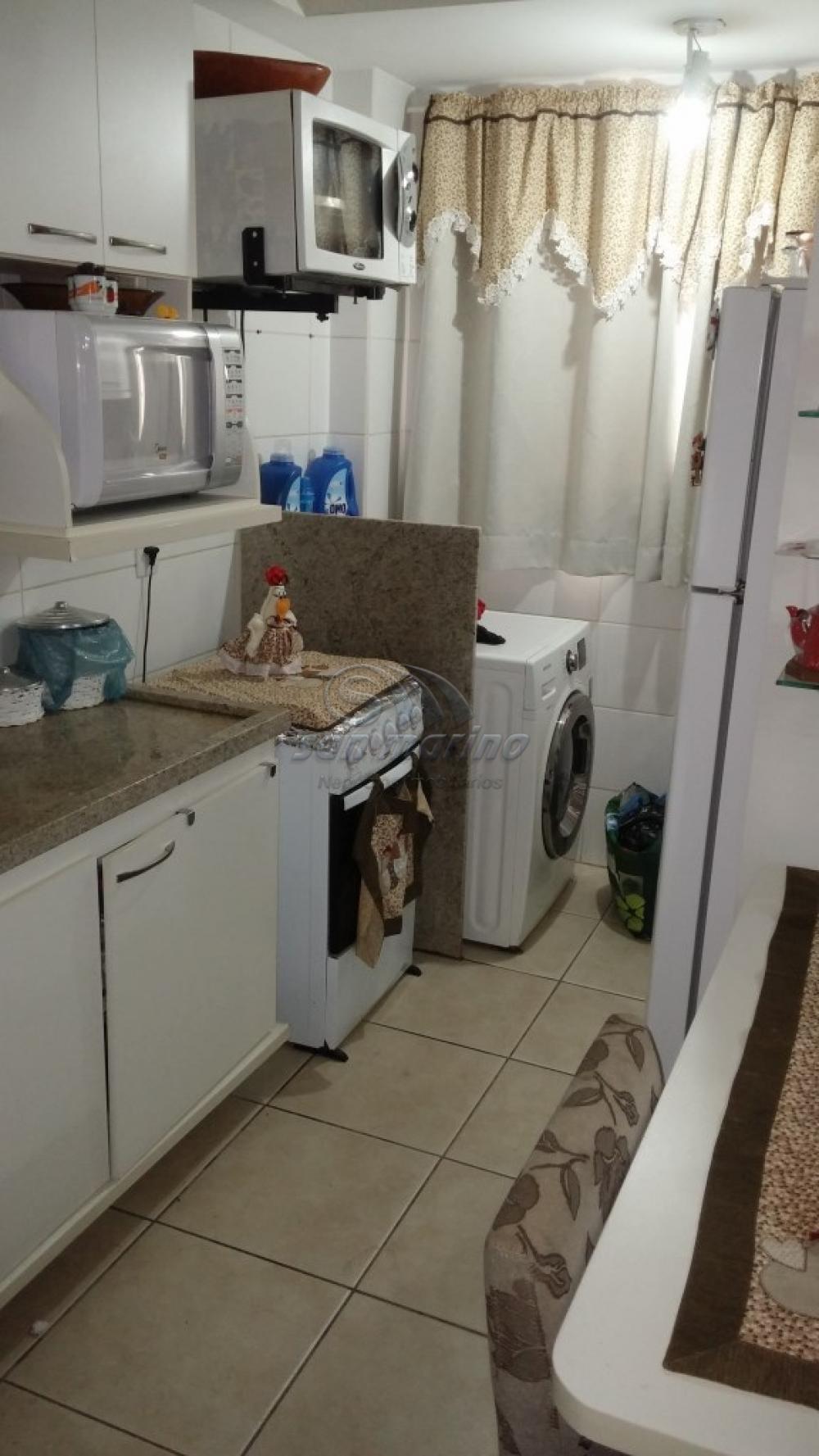Apartamentos / Padr&atilde;o em Jaboticabal - foto 5