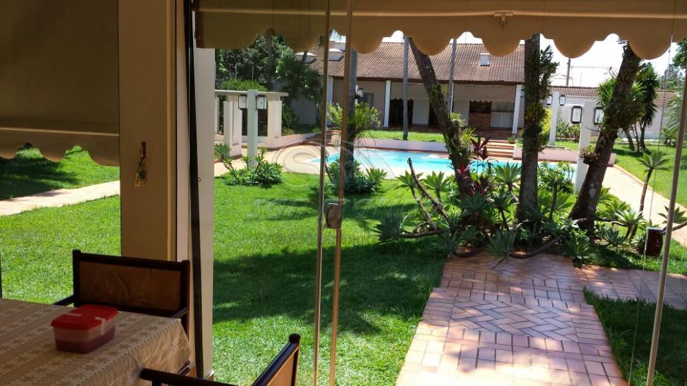 Casas / Padr&atilde;o em Jaboticabal - foto 18