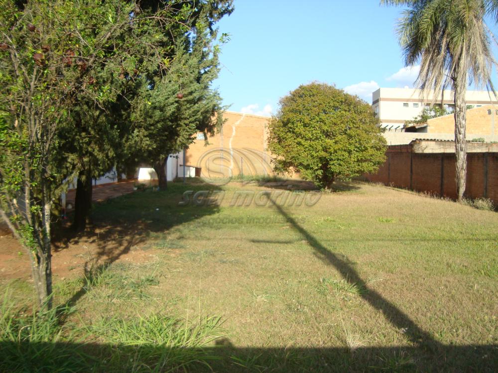 Casas / Padr&atilde;o em Jaboticabal - foto 1