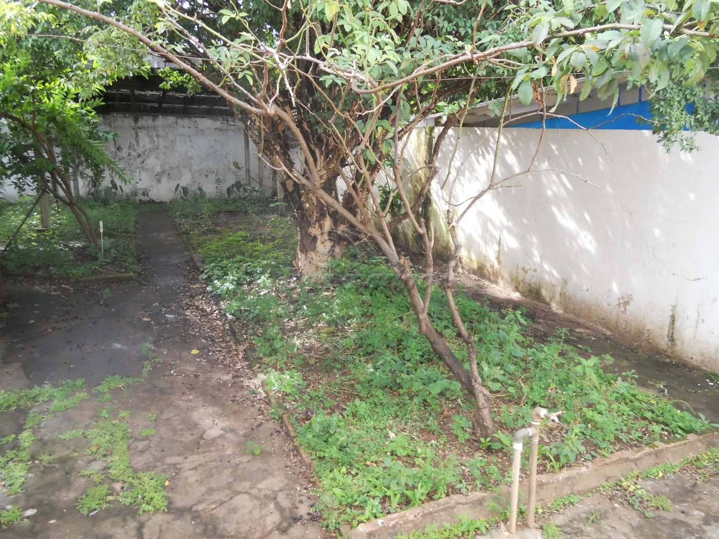 Casas / Padr&atilde;o em Jaboticabal - foto 11