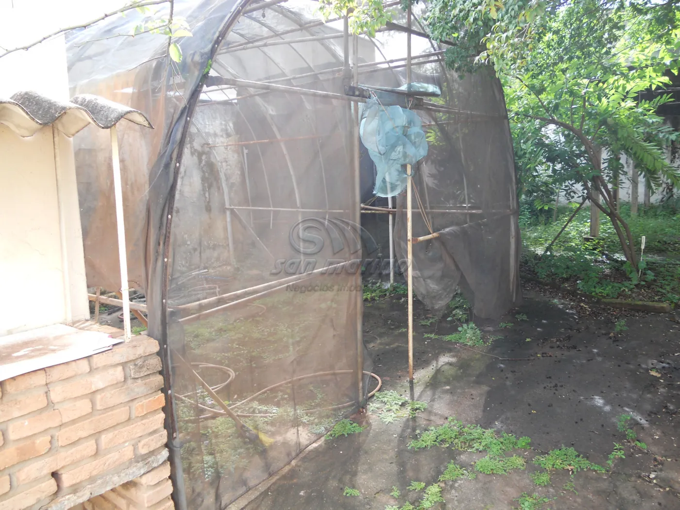 Casas / Padr&atilde;o em Jaboticabal - foto 12