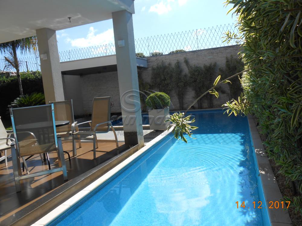 Casas / Condom&iacute;nio em Jaboticabal - foto 12