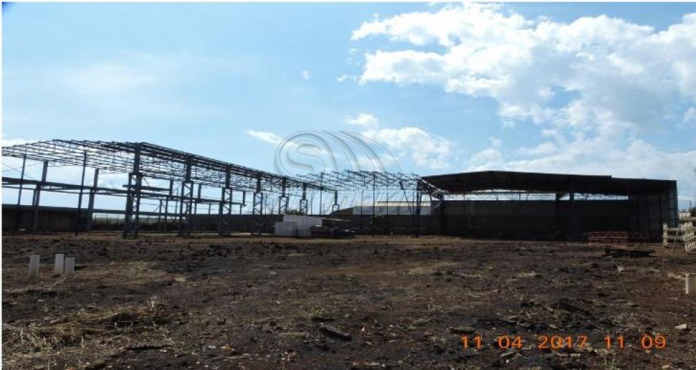 Comerciais / Galp&atilde;o em Santa Cruz da Esperan&ccedil;a - foto 1