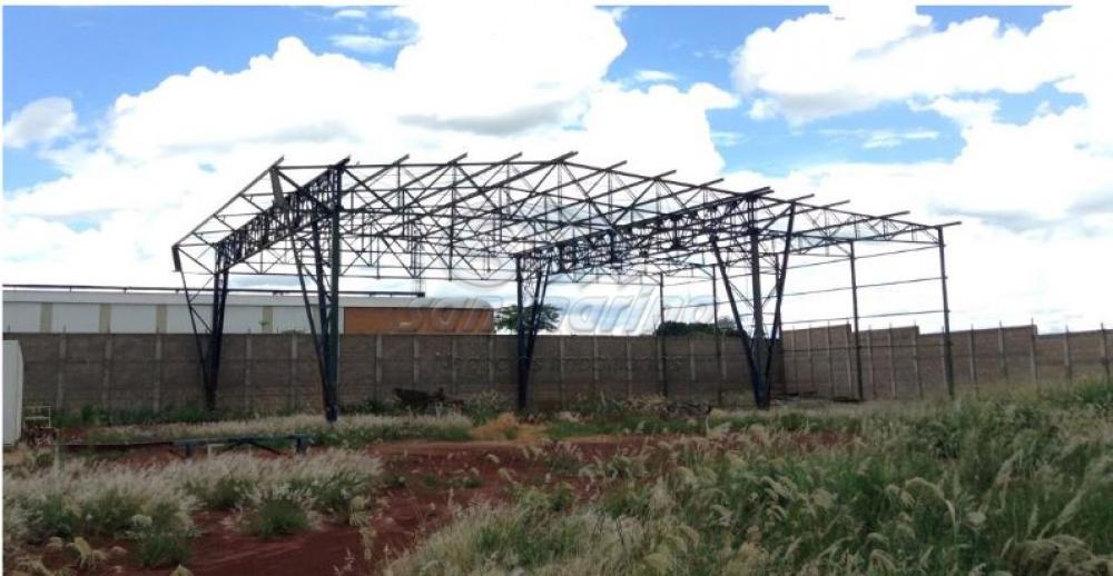 Comerciais / Galp&atilde;o em Santa Cruz da Esperan&ccedil;a - foto 4