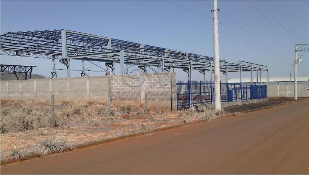 Comerciais / Galp&atilde;o em Santa Cruz da Esperan&ccedil;a - foto 7