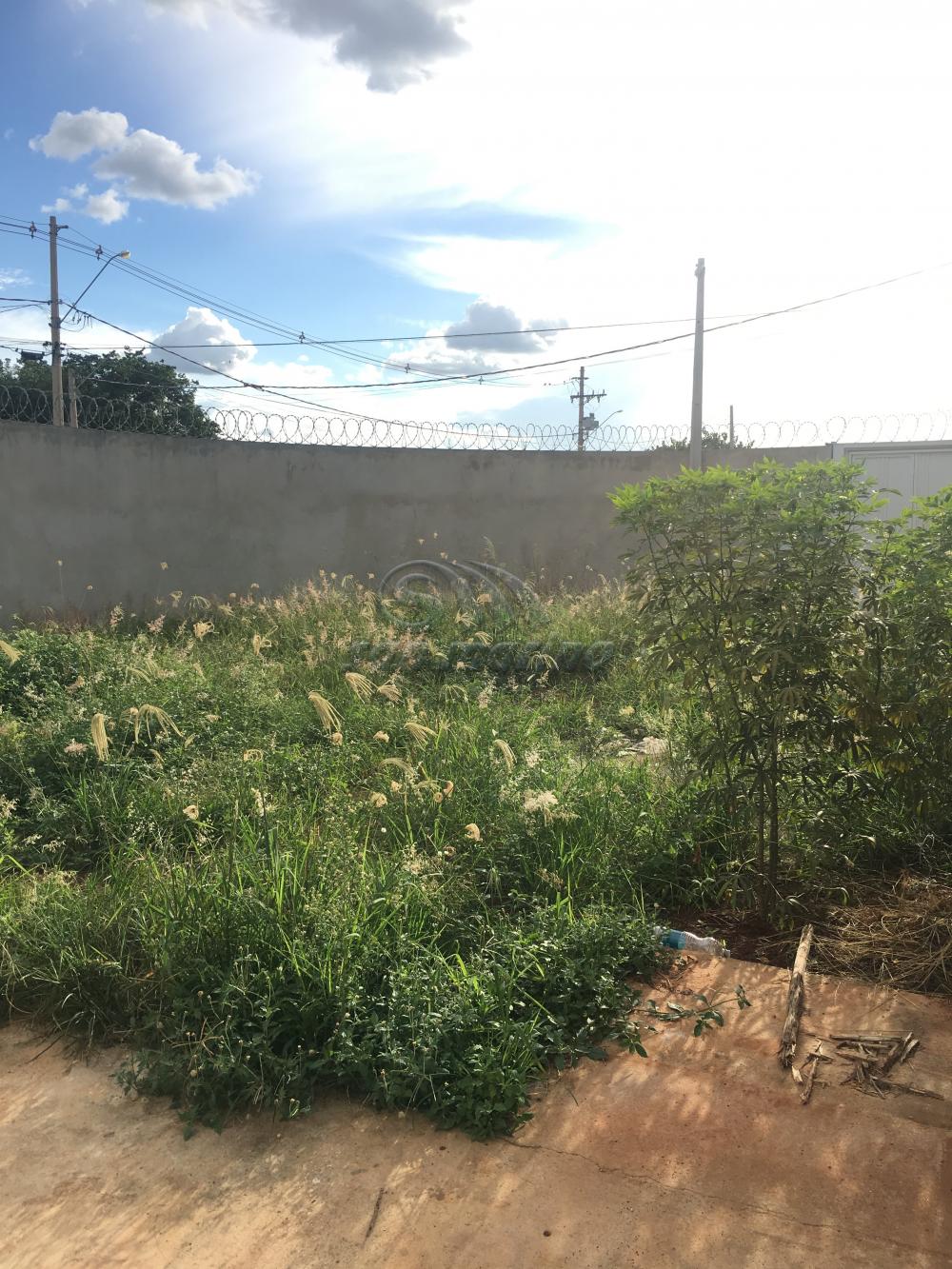 Casas / Ed&iacute;cula em Jaboticabal - foto 12