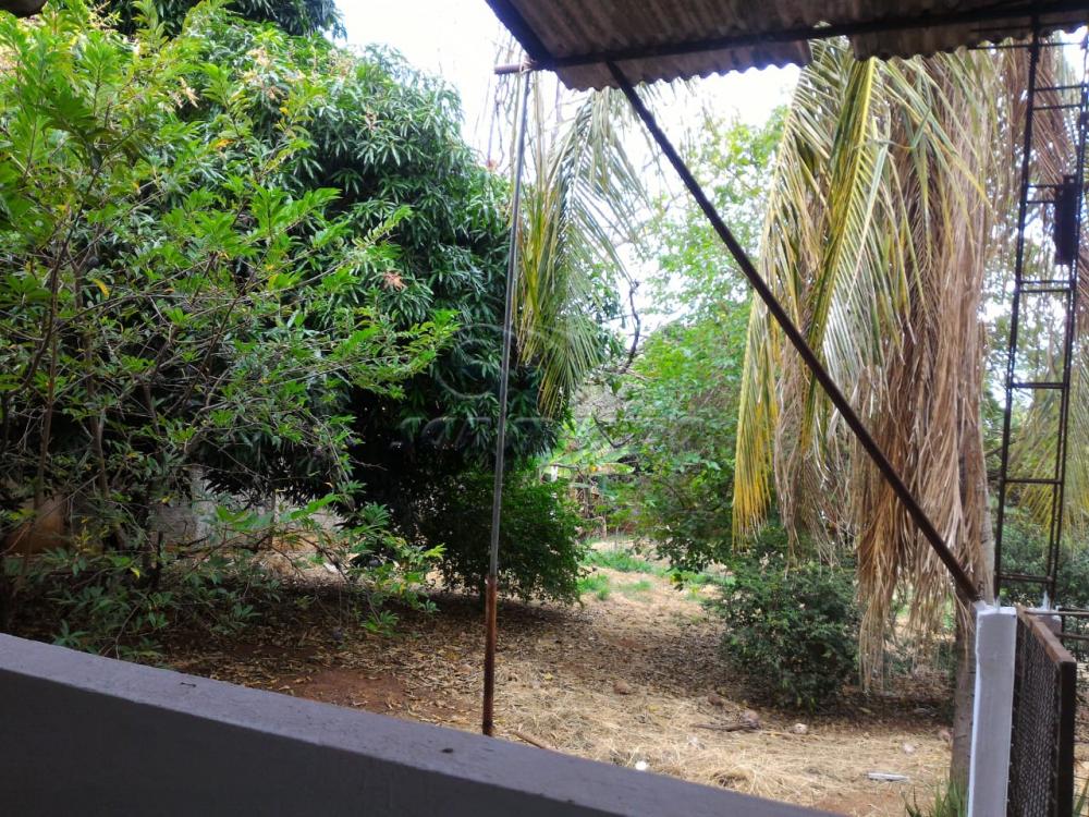 Casas / Padr&atilde;o em Jaboticabal - foto 14