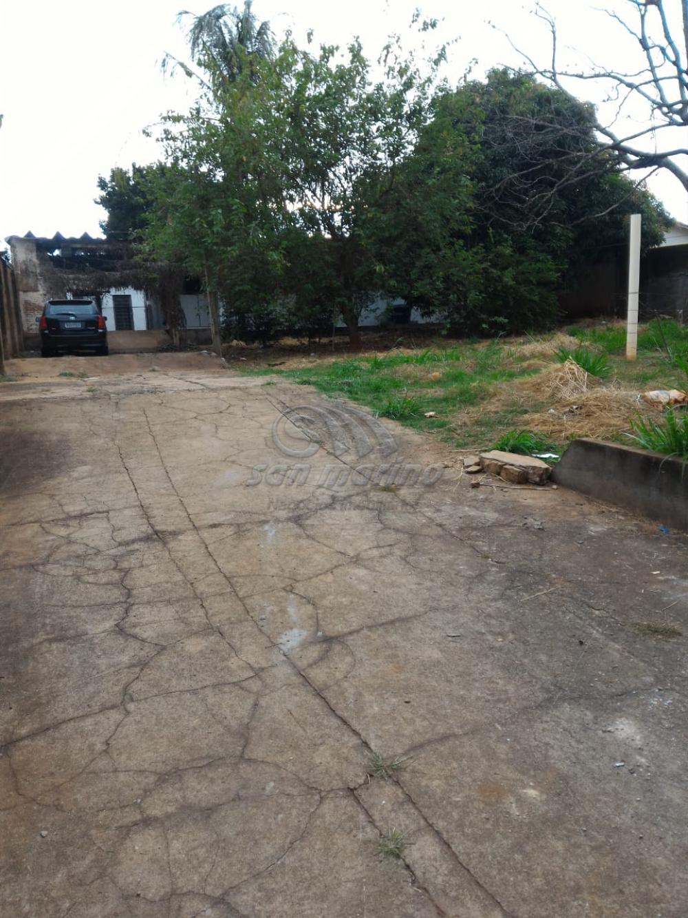 Casas / Padr&atilde;o em Jaboticabal - foto 18