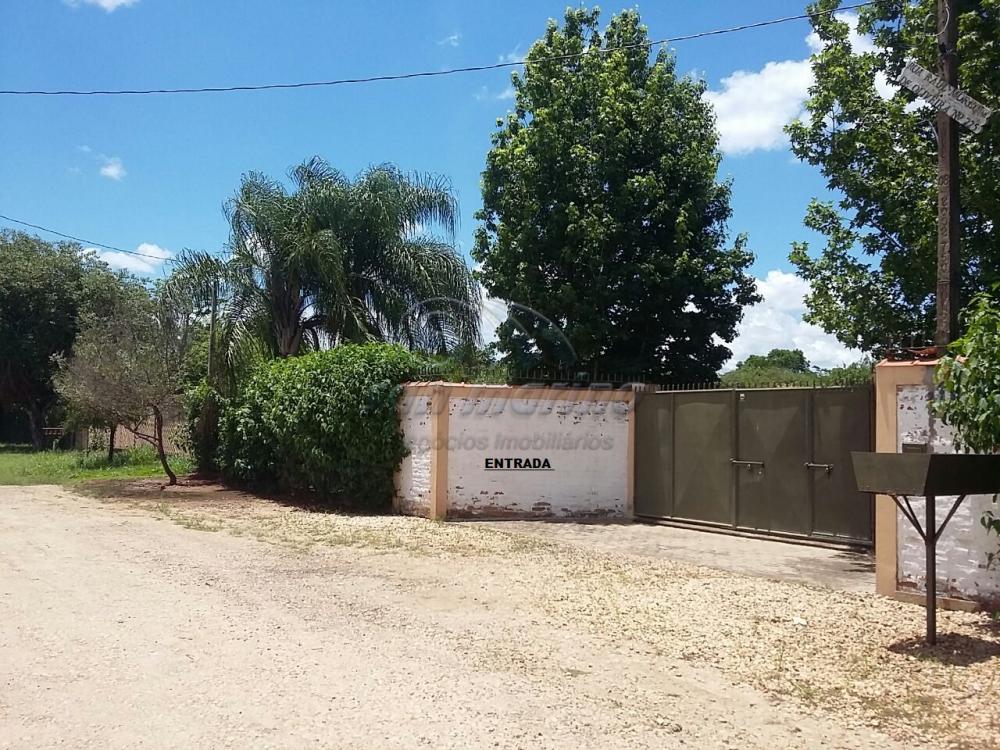 Ch&aacute;caras / Urbana em Serra Azul - foto 0