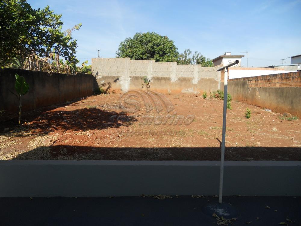 Casas / Padr&atilde;o em Jaboticabal - foto 3