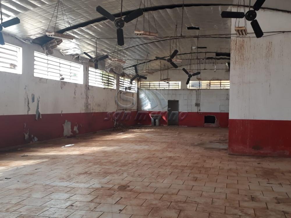 Comerciais / Pr&eacute;dio em Barrinha - foto 3