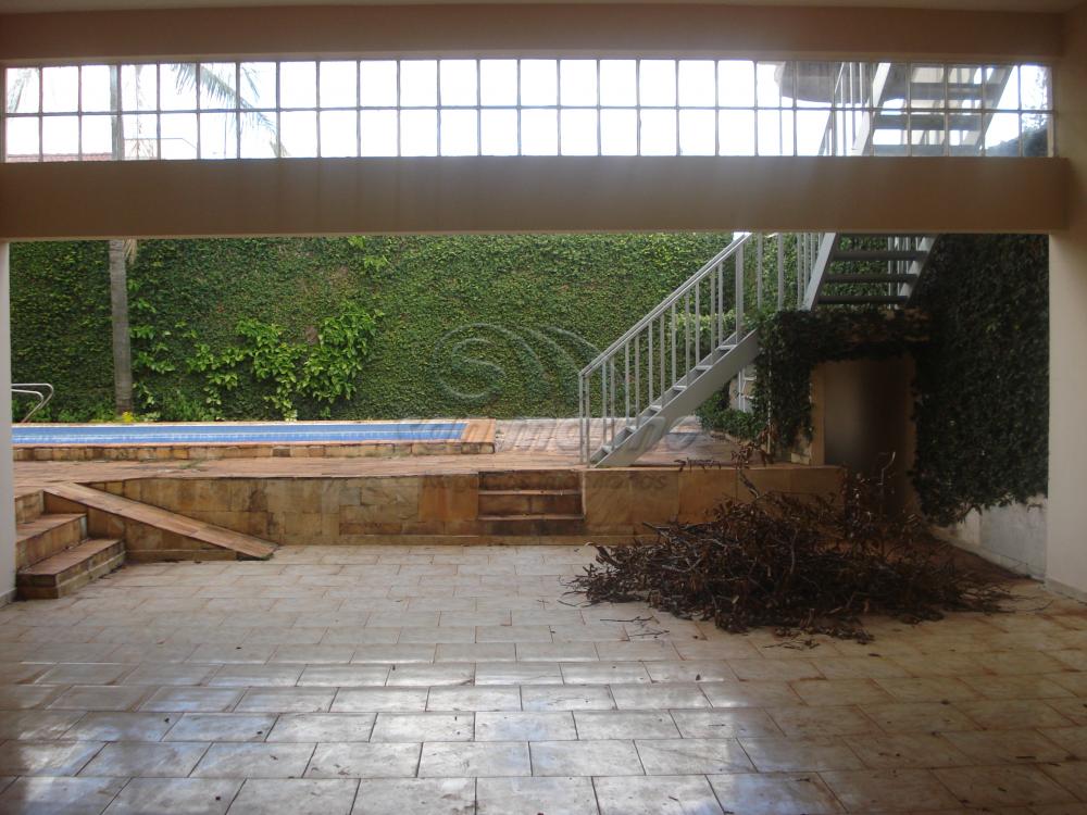 Casas / Sobrado em Jaboticabal - foto 2