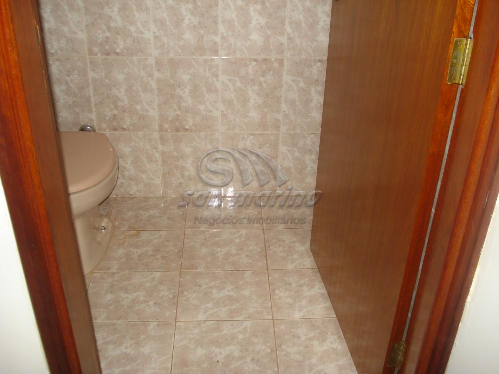 Casas / Sobrado em Jaboticabal - foto 12