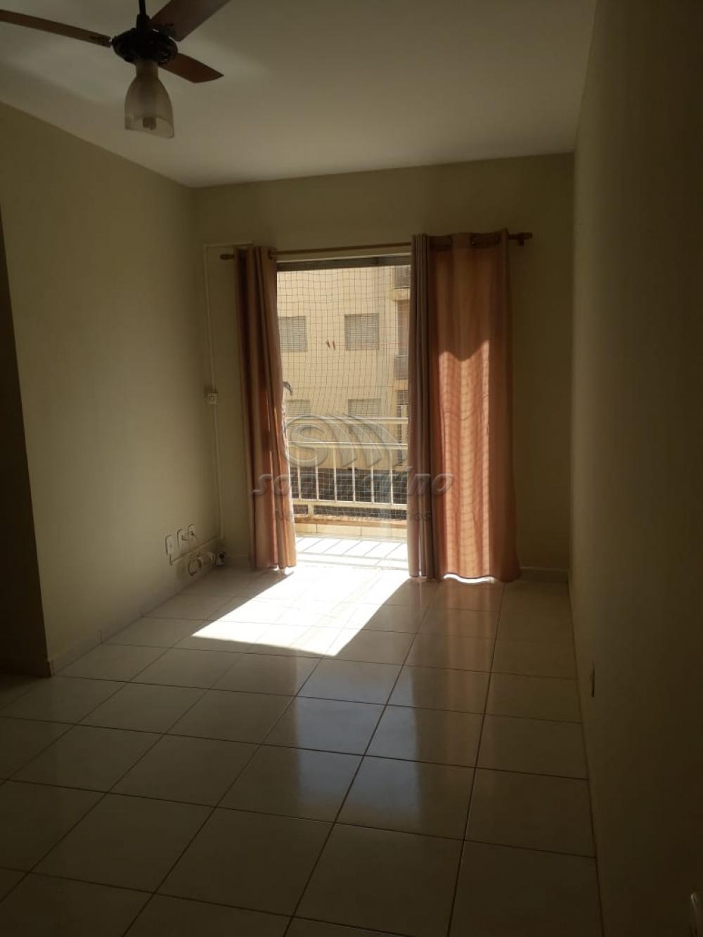 Apartamentos / Padr&atilde;o em Jaboticabal - foto 4