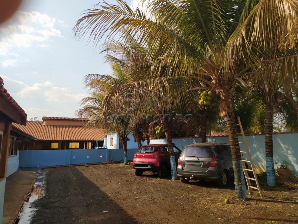 Ch&aacute;caras / Condom&iacute;nio em Jardin&oacute;polis - foto 1