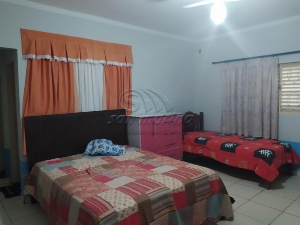 Ch&aacute;caras / Condom&iacute;nio em Jardin&oacute;polis - foto 26