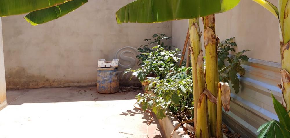 Casas / Padr&atilde;o em Jaboticabal - foto 12