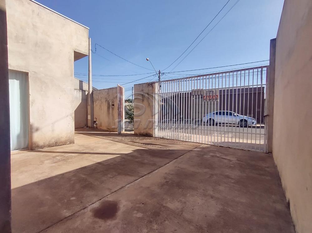 Casas / Padr&atilde;o em Jaboticabal - foto 11