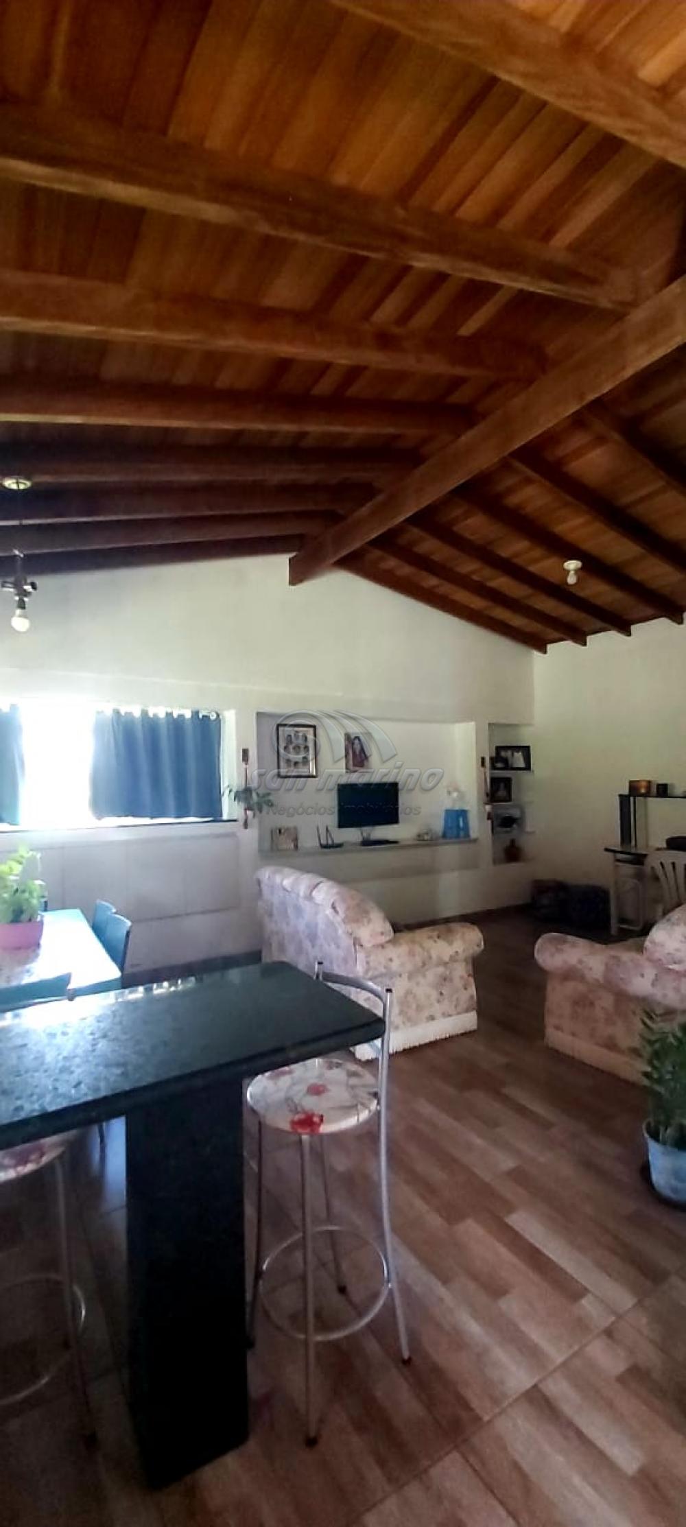 Ch&aacute;caras / Urbana em Monte Alto - foto 10