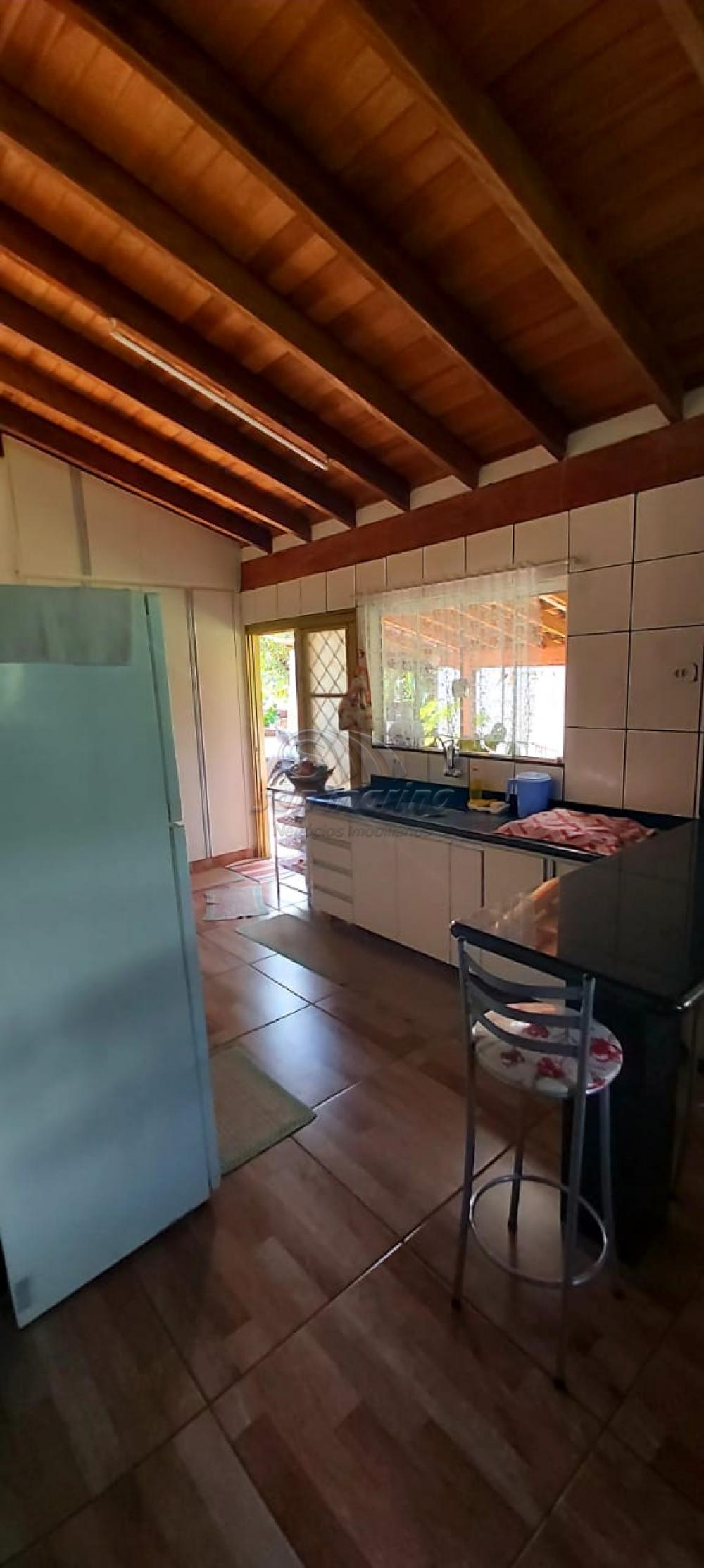 Ch&aacute;caras / Urbana em Monte Alto - foto 12