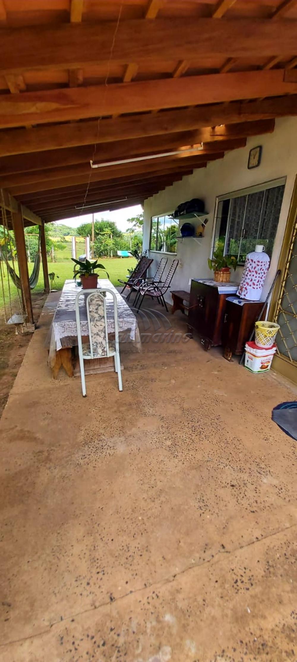 Ch&aacute;caras / Urbana em Monte Alto - foto 16