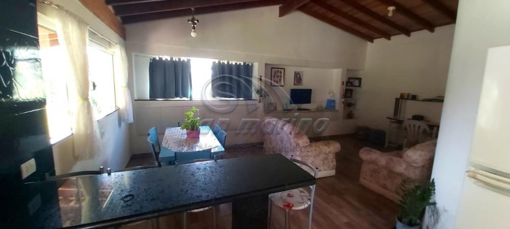 Ch&aacute;caras / Urbana em Monte Alto - foto 17