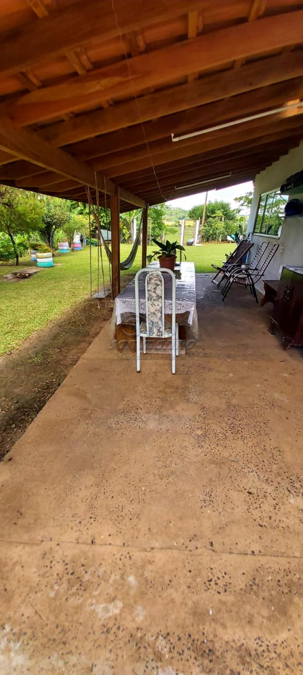 Ch&aacute;caras / Urbana em Monte Alto - foto 19