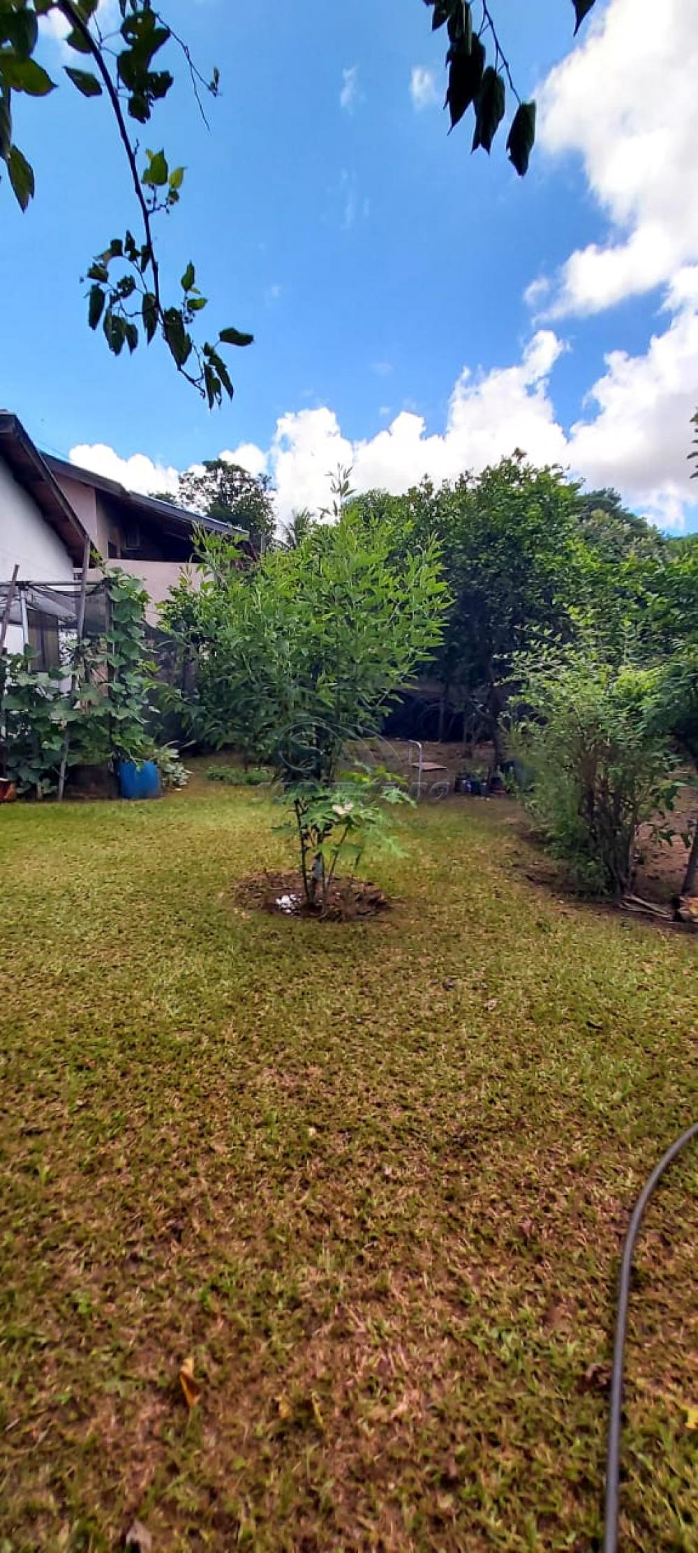 Ch&aacute;caras / Urbana em Monte Alto - foto 21