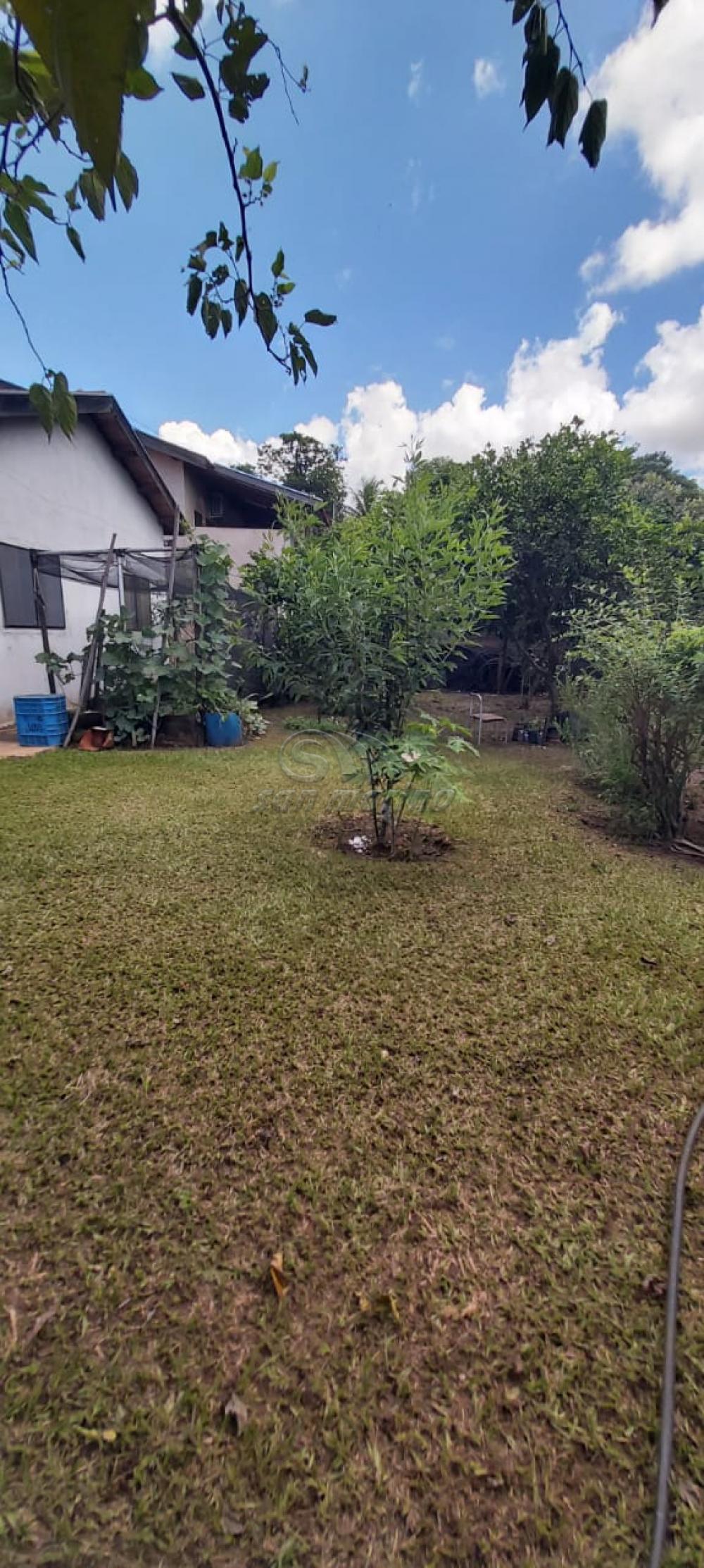 Ch&aacute;caras / Urbana em Monte Alto - foto 27