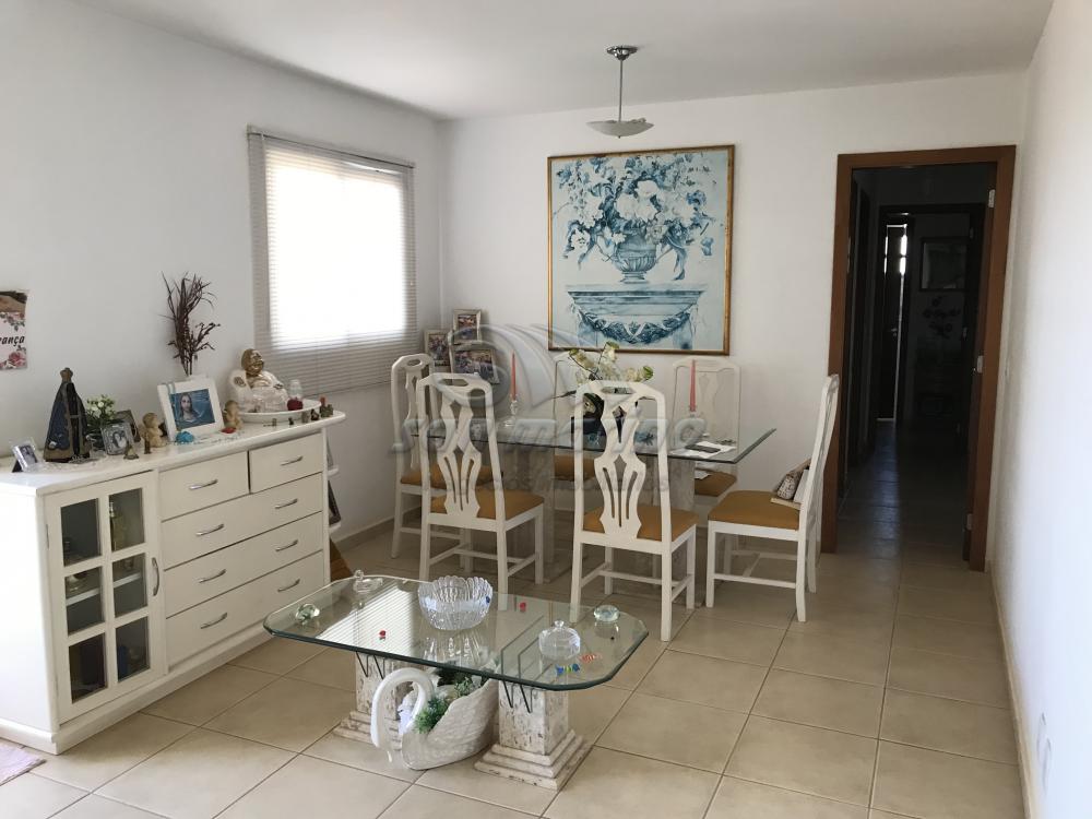 Apartamentos / Padr&atilde;o em Jaboticabal - foto 2