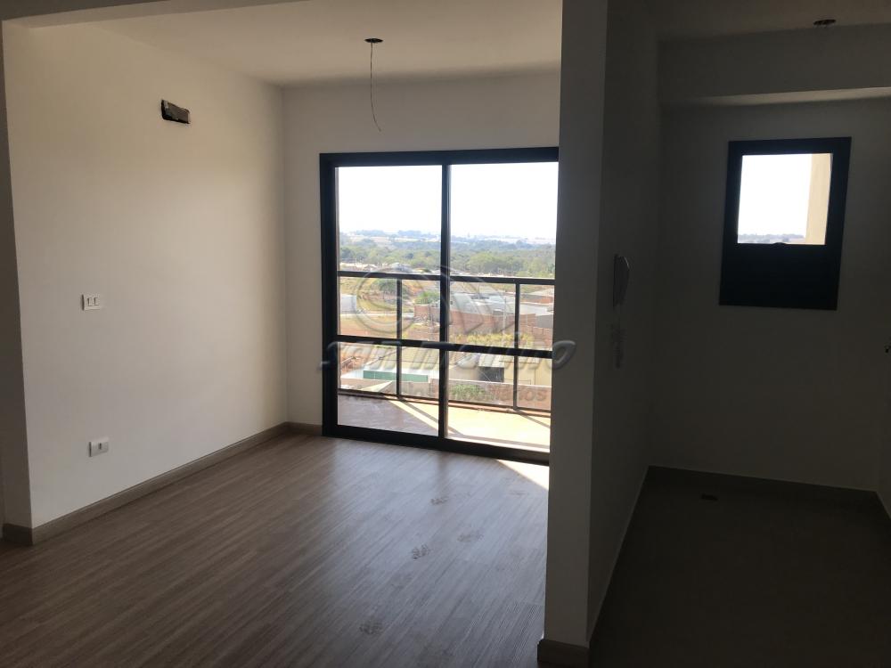 Apartamentos / Padr&atilde;o em Jaboticabal - foto 10