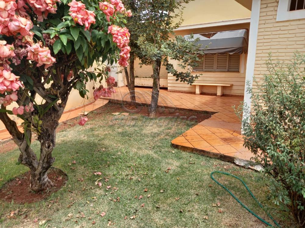 Casas / Padr&atilde;o em Jaboticabal - foto 4