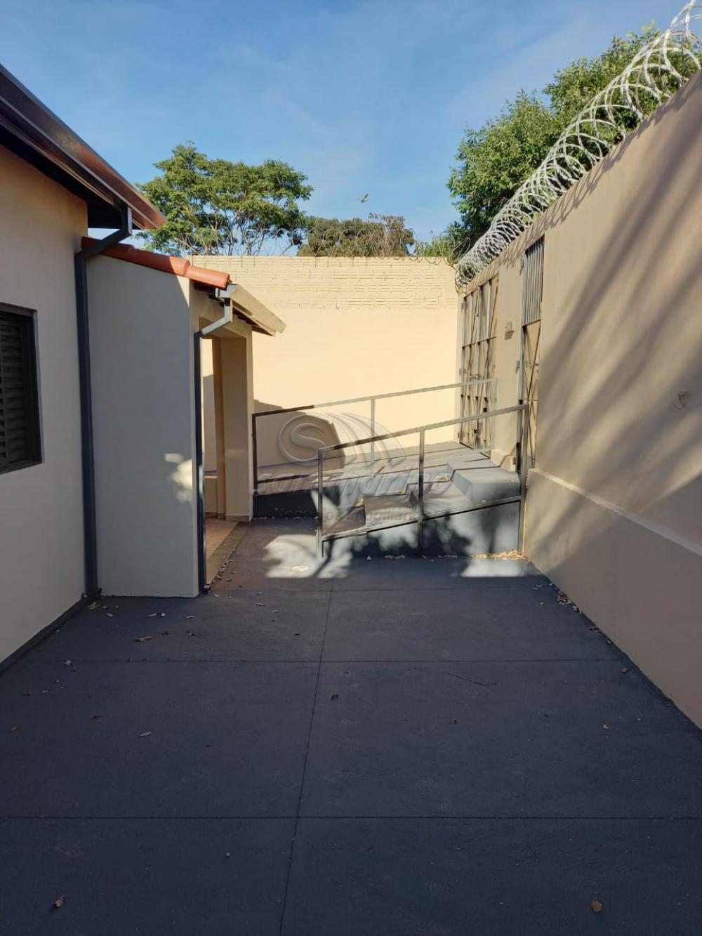 Casas / Padr&atilde;o em Jaboticabal - foto 1