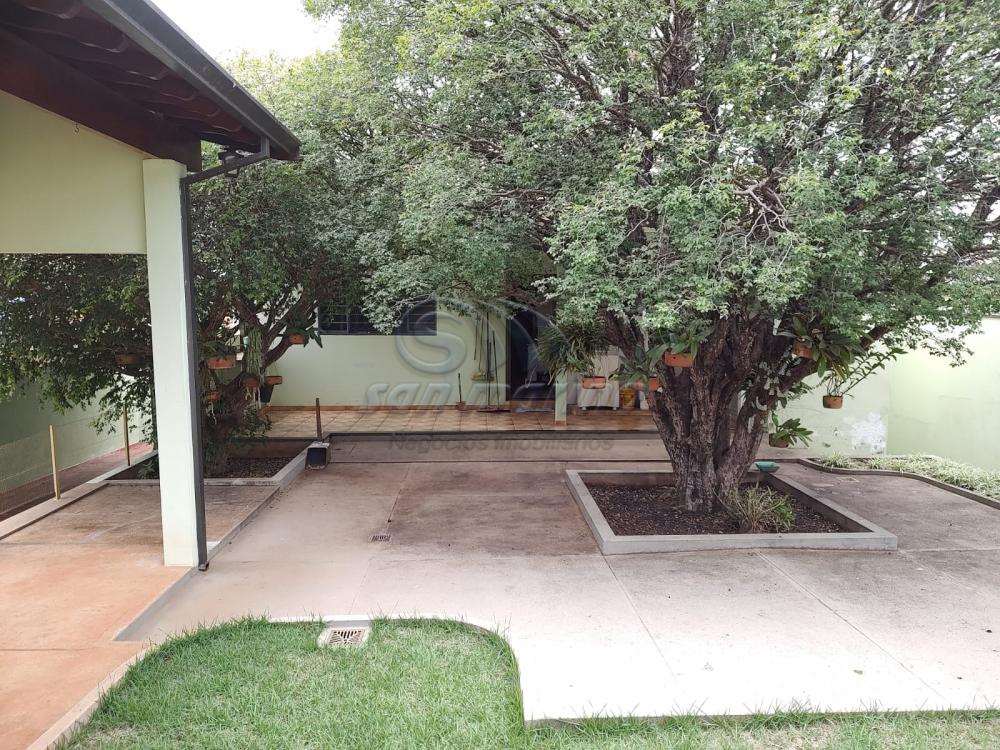 Casas / Padr&atilde;o em Jaboticabal - foto 2