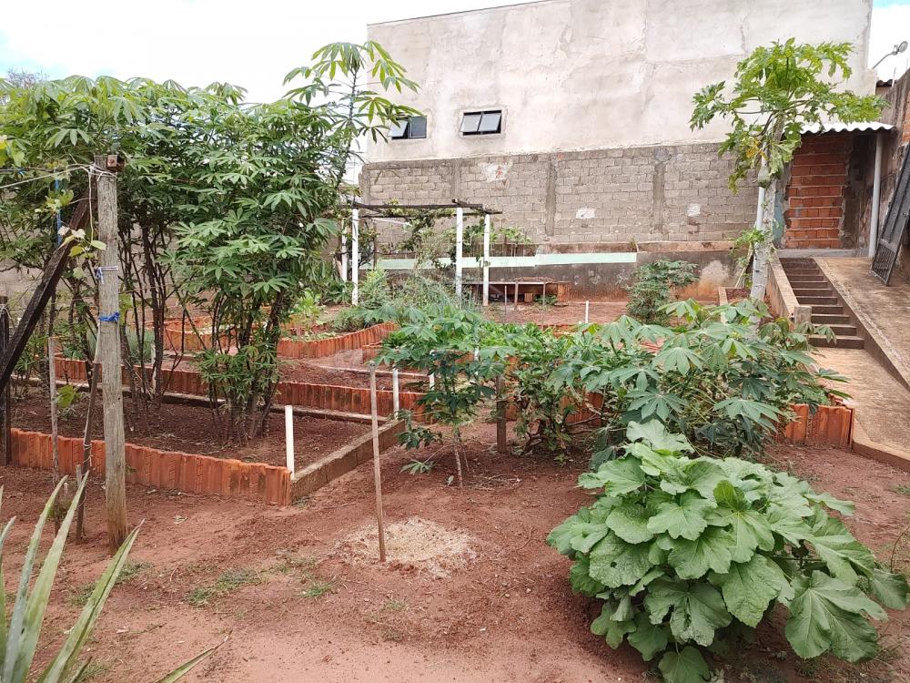 Casas / Padr&atilde;o em Jaboticabal - foto 4