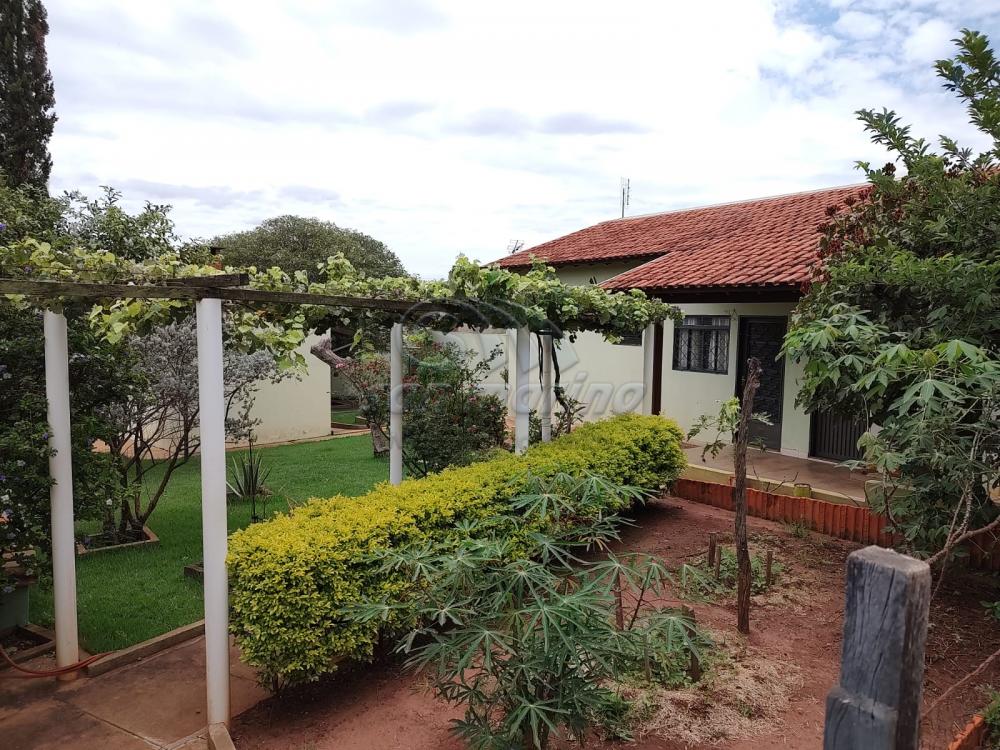 Casas / Padr&atilde;o em Jaboticabal - foto 8