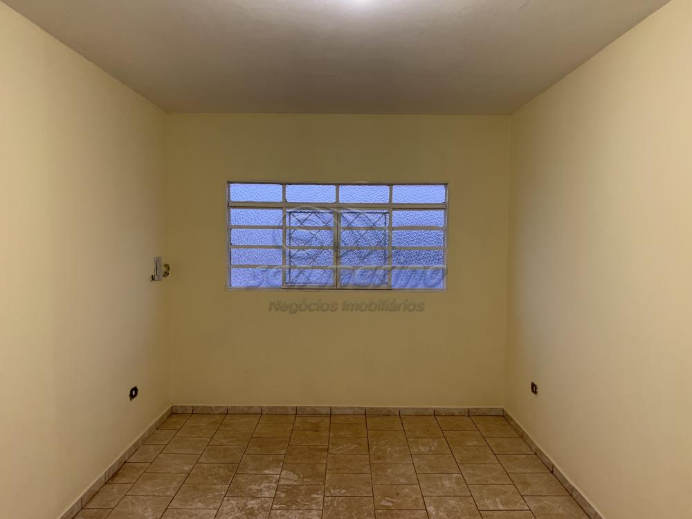 Apartamentos / Padr&atilde;o em Jaboticabal - foto 6