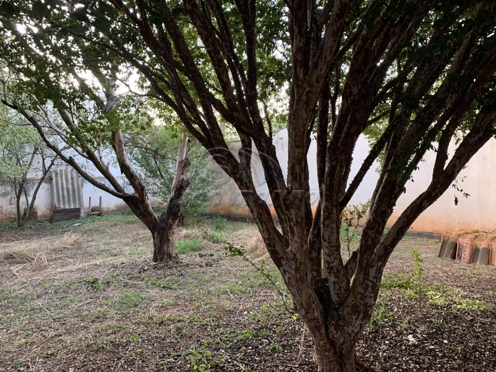 Casas / Padr&atilde;o em Jaboticabal - foto 20