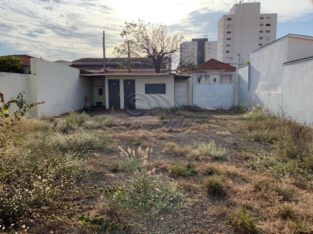 Comerciais / &Aacute;rea em Jaboticabal - foto 2