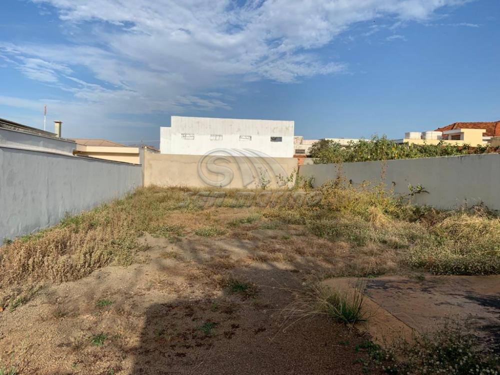 Comerciais / &Aacute;rea em Jaboticabal - foto 1
