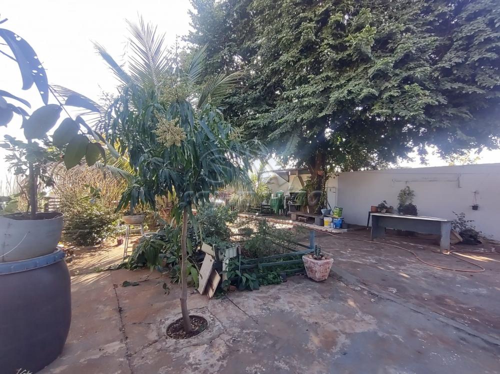 Casas / Ed&iacute;cula em Jaboticabal - foto 14