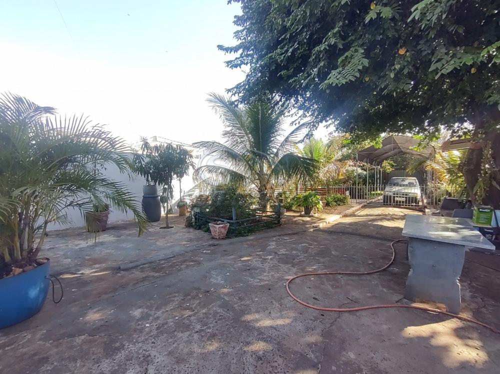 Casas / Ed&iacute;cula em Jaboticabal - foto 13